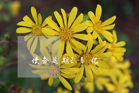 债务逾期28亿 债务逾期28亿