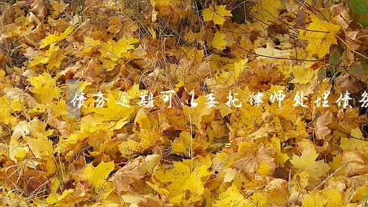 债务逾期可以委托律师处理债务吗 债务逾期可以委托律师处理债务吗