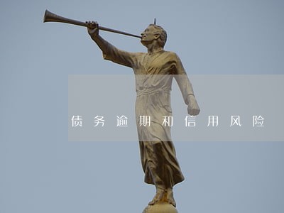 债务逾期和信用风险