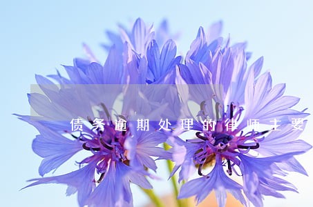 债务逾期处理的律师主要做什么 债务逾期处理的律师主要做什么