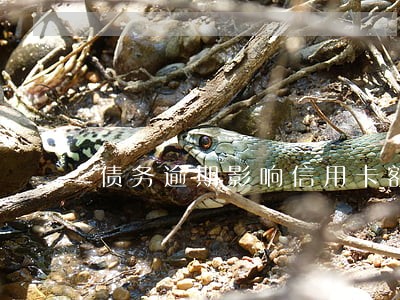 债务逾期影响信用卡额度吗