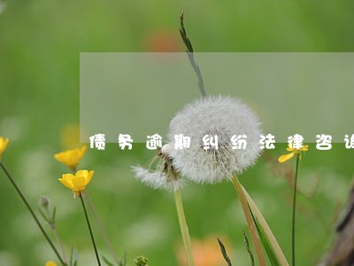 债务逾期纠纷法律咨询 债务逾期纠纷法律咨询