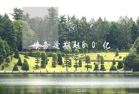 债务逾期超80亿 债务逾期超80亿