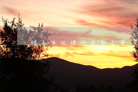 债务重组律师实务专著 债务重组律师实务专著