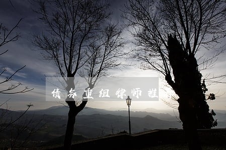 债务重组律师推荐 债务重组律师推荐