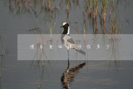 债务重组律师收多少 债务重组律师收多少