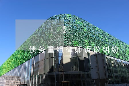 债务重组律师诉讼纠纷