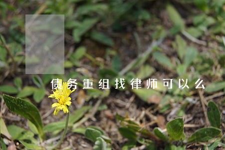 债务重组找律师可以么 债务重组找律师可以么