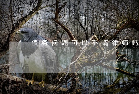 债务问题可以不请律师吗 债务问题可以不请律师吗
