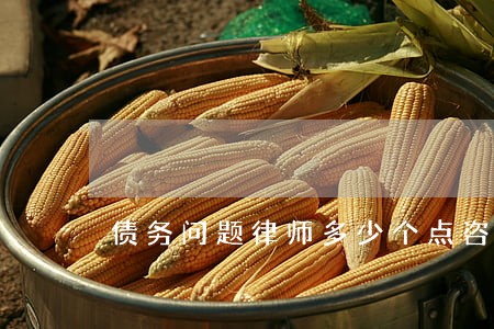 债务问题律师多少个点咨询 债务问题律师多少个点咨询