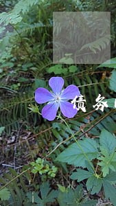 债务问题律师费用咨询 债务问题律师费用咨询