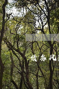 债务风险代理律师咨询 债务风险代理律师咨询
