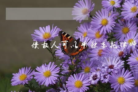 债权人可以单独委托律师吗 债权人可以单独委托律师吗
