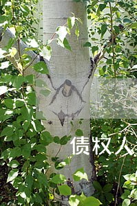 债权人撤销之诉的诉讼地位
