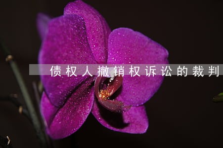 债权人撤销权诉讼的裁判观点 债权人撤销权诉讼的裁判观点