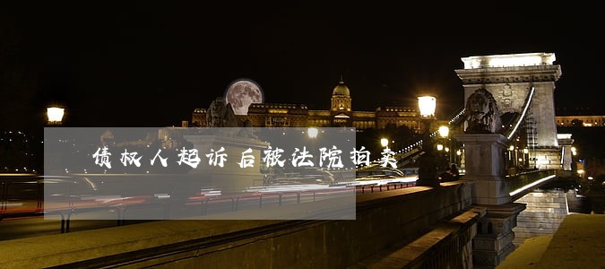 债权人起诉后被法院拍卖 债权人起诉后被法院拍卖