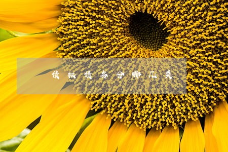 债权债务分哪几类 债权债务分哪几类