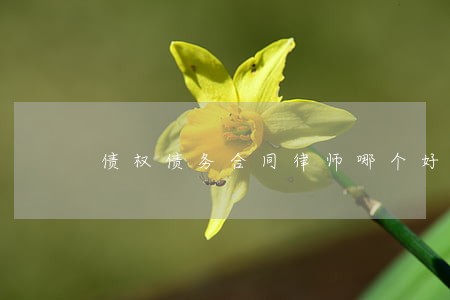 债权债务合同律师哪个好 债权债务合同律师哪个好