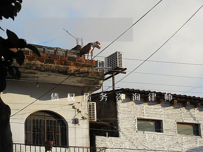债权债务咨询律师 债权债务咨询律师