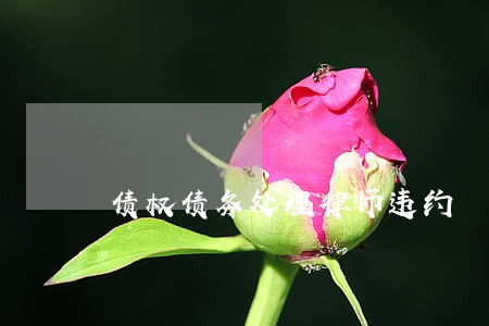 债权债务处理律师违约 债权债务处理律师违约