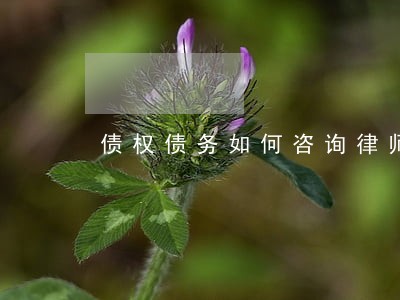债权债务如何咨询律师 债权债务如何咨询律师
