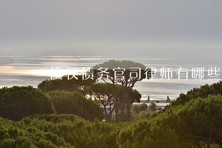 债权债务官司律师有哪些问题