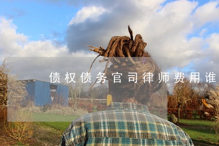 债权债务官司律师费用谁付 债权债务官司律师费用谁付