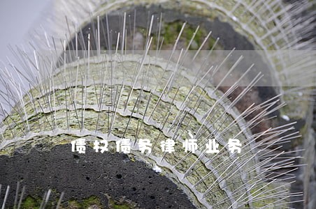 债权债务律师业务 债权债务律师业务