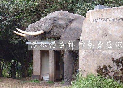 债权债务律师免费咨询问题 债权债务律师免费咨询问题