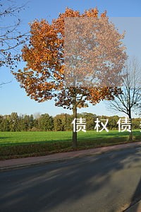 债权债务律师前十名 债权债务律师前十名