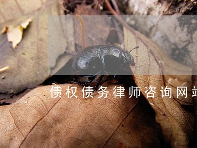 债权债务律师咨询网站 债权债务律师咨询网站