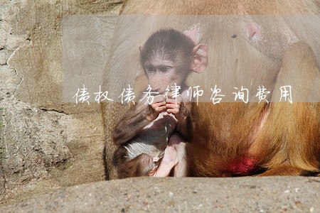 债权债务律师咨询费用