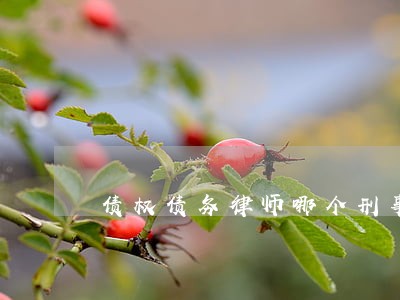 债权债务律师哪个刑事律师比较好 债权债务律师哪个刑事律师比较好