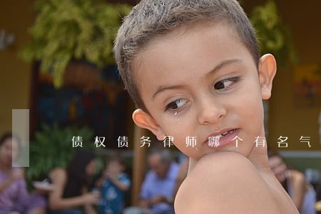 债权债务律师哪个有名气 债权债务律师哪个有名气
