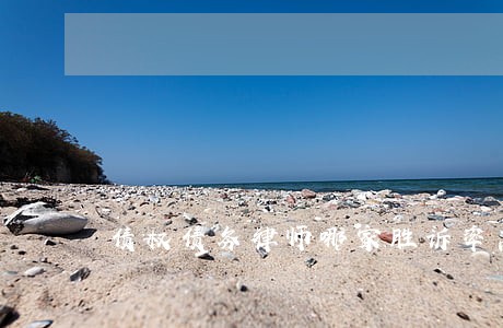 债权债务律师哪家胜诉率高 债权债务律师哪家胜诉率高
