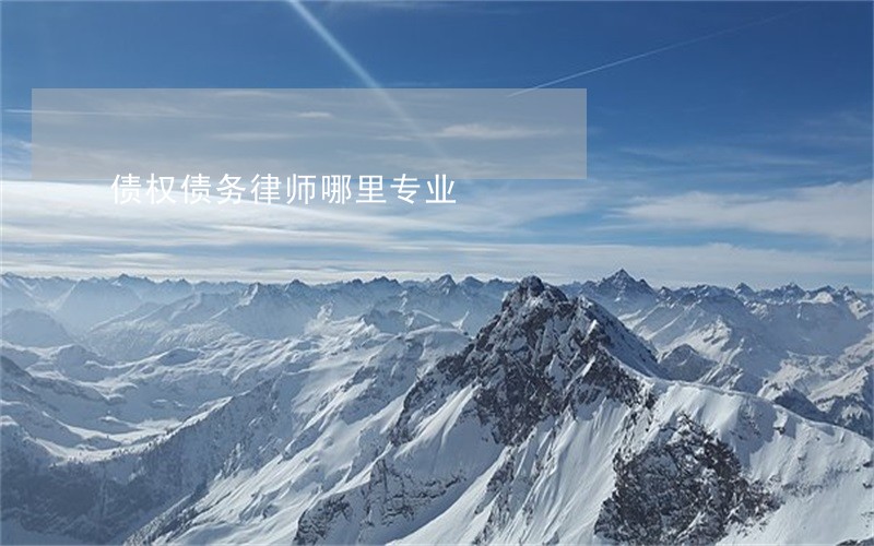 债权债务律师哪里专业 债权债务律师哪里专业