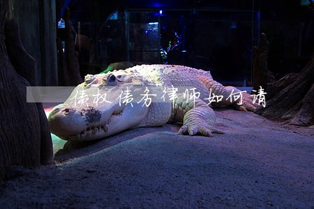 债权债务律师如何请 债权债务律师如何请
