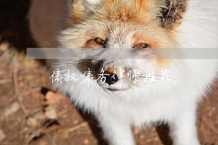 债权债务律师推荐 债权债务律师推荐