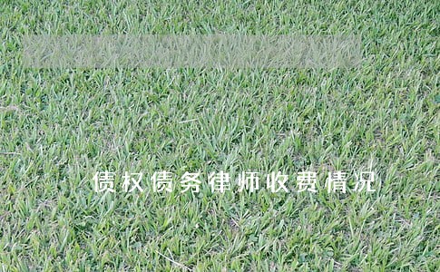 债权债务律师收费情况 债权债务律师收费情况