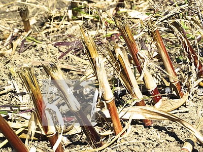 债权债务律师收费标准 债权债务律师收费标准