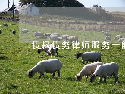 债权债务律师服务一般要多少钱 债权债务律师服务一般要多少钱