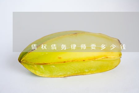 债权债务律师要多少钱 债权债务律师要多少钱