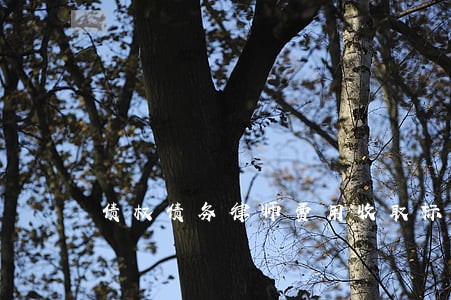 债权债务律师费用收取标准咨询 债权债务律师费用收取标准咨询