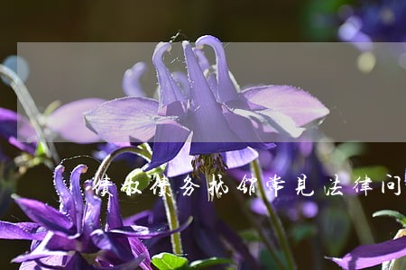 债权债务抵销常见法律问题有什么 债权债务抵销常见法律问题有什么