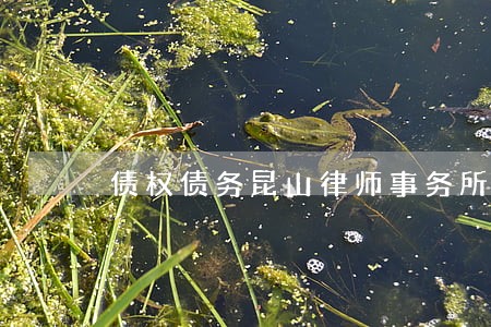 债权债务昆山律师事务所债 债权债务昆山律师事务所债
