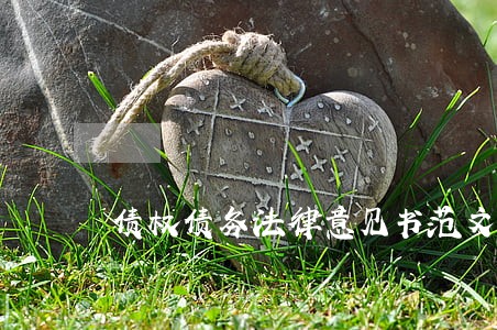 债权债务法律意见书范文 债权债务法律意见书范文