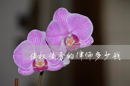 债权债务的律师多少钱 债权债务的律师多少钱