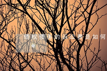 债权债务的诉讼费是如何计算的 债权债务的诉讼费是如何计算的