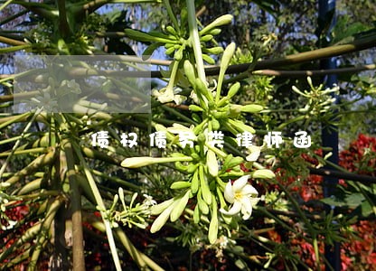 债权债务类律师函 债权债务类律师函