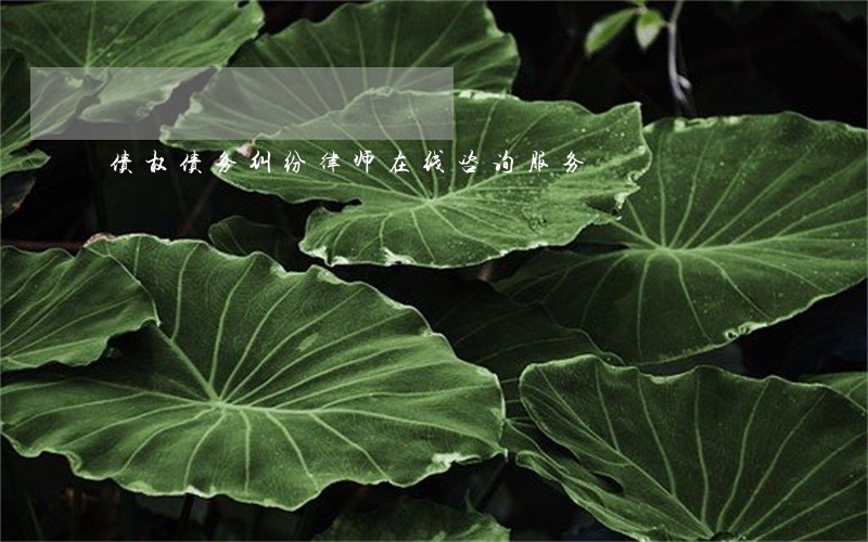 债权债务纠纷律师在线咨询服务